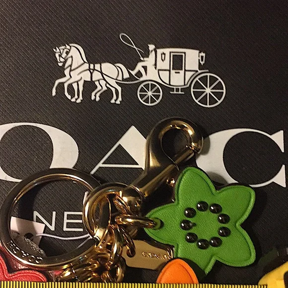 COACH - WILDFLOWER CLUSTER BAG CHARM IN COLORBLOCK - Picture 10 of 12